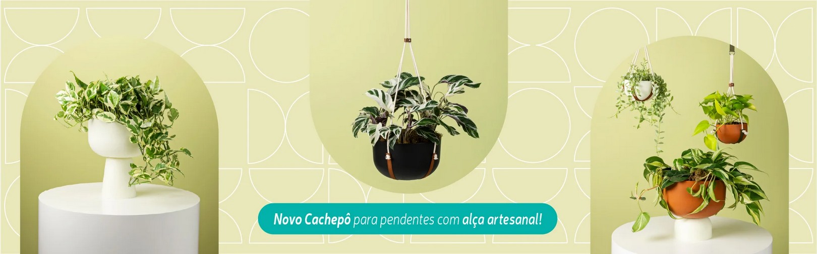 Novo cachepô